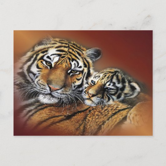 Carte postale Tiger & Cub (Devant)