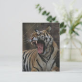 Carte Postale Tiger Cub Yawning (Debout devant)