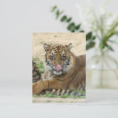Carte postale Tiger Cubs (Debout devant)