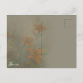 Carte Postale Tiger "Day" Lilies (Dos)
