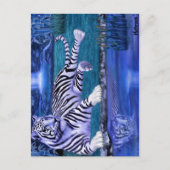 CARTE POSTALE TIGER JUNGLE.JPEG (Devant)