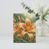 Carte Postale Tiger Lily Symbolism (Debout devant)