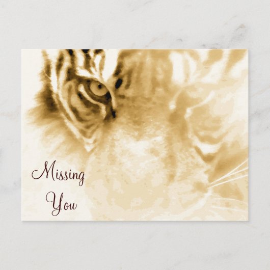 Carte Postale , Tiger Love_ (Devant)