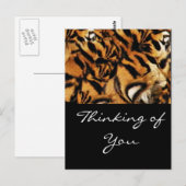 Carte Postale Tiger Love_ (Devant / Derrière)