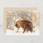 carte postale tiger maman et bébé (Devant / Derrière)