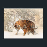 carte postale tiger maman et bébé<br><div class="desc">tiger maman et carte postale bébé pour toutes les occasions. Et n'oubliez pas que vous pouvez customiser votre commande.</div>