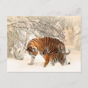 carte postale tiger maman et bébé