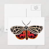 Carte postale Tiger Moth (Devant / Derrière)