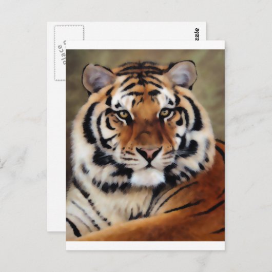 Carte Postale Tiger par Psyco (Devant / Derrière)
