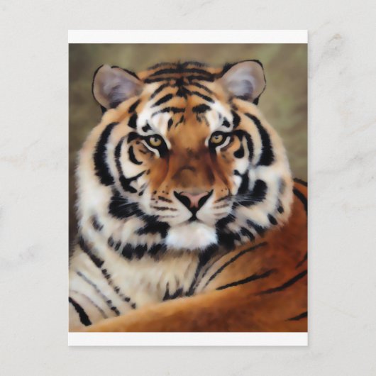 Carte Postale Tiger par Psyco (Devant)