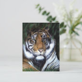 Carte postale Tiger Peinture (Debout devant)