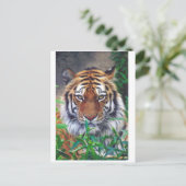 Carte Postale Tiger Stare (Debout devant)