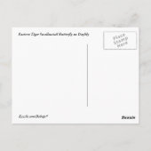 Carte Postale Tiger Swallowtail sur Daylily (Dos)