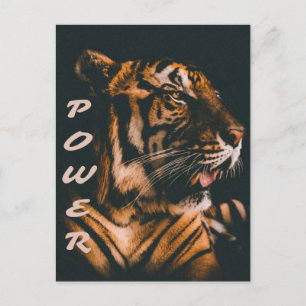Carte Postale Tiger - Tiger - Tiger Motivation