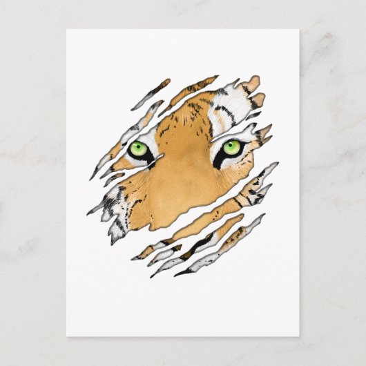 Carte Postale Tiger Visage Faune Art (Devant)