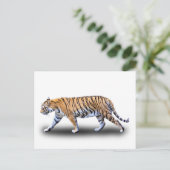CARTE POSTALE TIGER WALK (Debout devant)