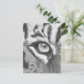 Carte Postale Tigerauge - Bleistiftzeichnung (Debout devant)