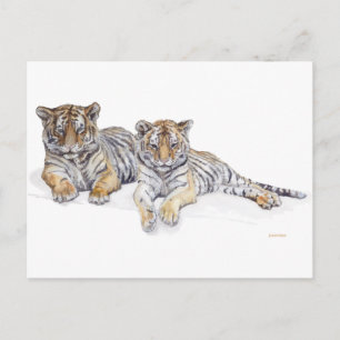 Carte Postale tigercubs