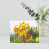 Carte Postale Tigerlily (Debout devant)