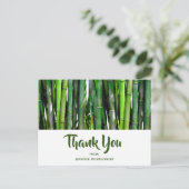 Carte Postale Tiges de bambou vert Photographie de la nature Mer (Debout devant)