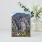 Carte Postale tigre (Debout devant)