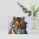 Carte Postale tigre (Debout devant)