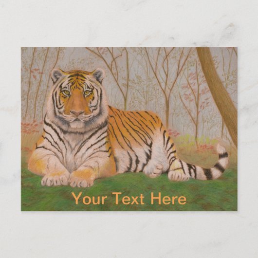 Carte Postale Tigre (Devant)