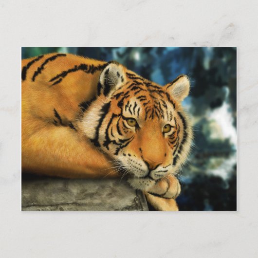 Carte Postale Tigre (Devant)