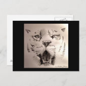 Carte Postale Tigre (Devant / Derrière)