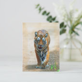 Carte Postale tigre (Debout devant)