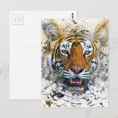 Carte Postale Tigre (Devant / Derrière)