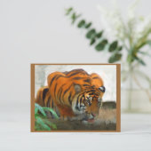 Carte postale Tigre (Debout devant)