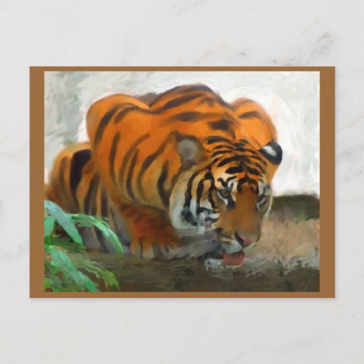 Carte postale Tigre (Devant)
