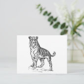 Carte Postale Tigre (Debout devant)