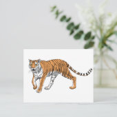Carte Postale Tigre 2 (Debout devant)
