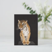 Carte Postale Tigre assis sur la plate-forme 2 (Debout devant)