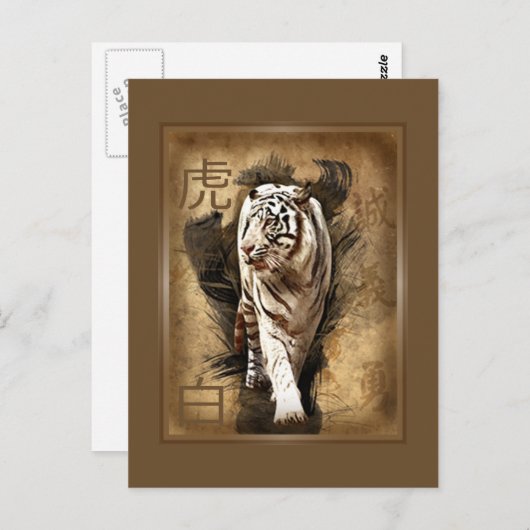 Carte postale tigre blanc (Devant / Derrière)