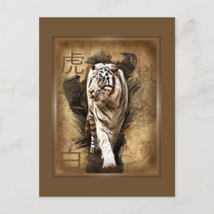 Carte postale tigre blanc