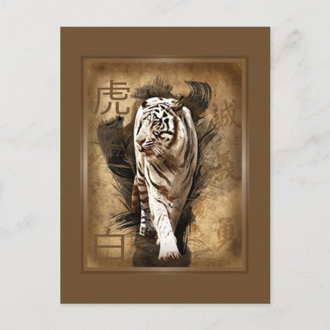 Carte postale tigre blanc (Devant)