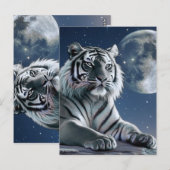 Carte Postale Tigre blanc (Devant / Derrière)