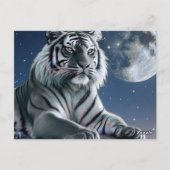 Carte Postale Tigre blanc (Dos)