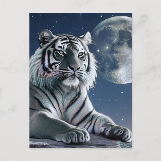 Carte Postale Tigre blanc (Devant)