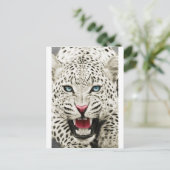 Carte Postale tigre blanc (Debout devant)