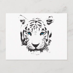 Carte Postale Tigre blanc aux yeux bleus