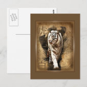 Carte postale tigre blanc briefkaart (Voorkant / Achterkant)