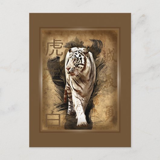 Carte postale tigre blanc briefkaart (Voorkant)