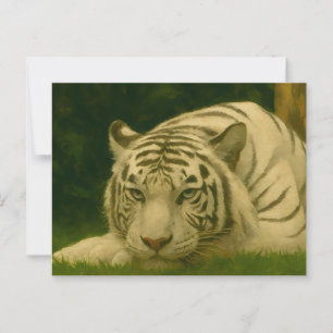 Carte Postale Tigre blanc reposant dans l'ombre des bois