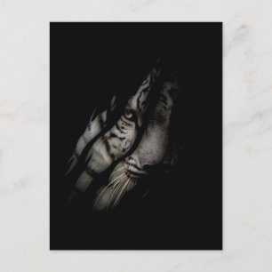 Carte Postale Tigre blanc Visage Tordu Claw Wild Safari Animal C