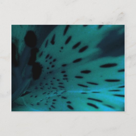 Carte Postale Tigre bleu (Devant)