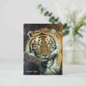 Carte postale : Tigre cosmique (Portrait) (Debout devant)
